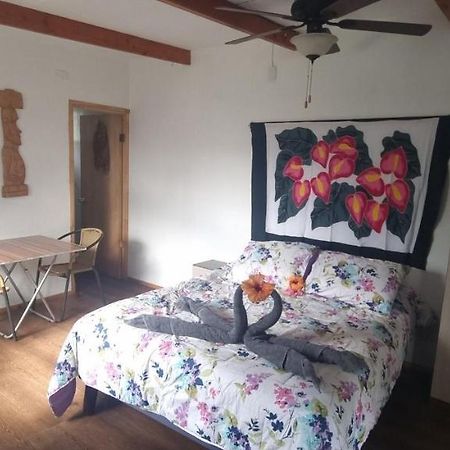汉格罗阿Hostal Henua Roa 2公寓 外观 照片